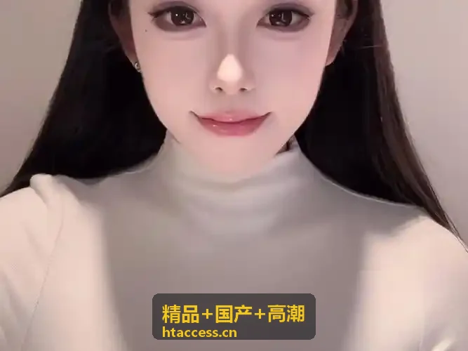 精品国产高密安全通道
